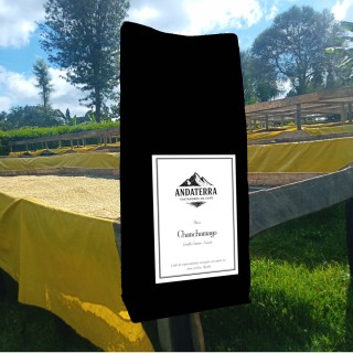 Café Andaterra Perú - Valle Chanchamayo