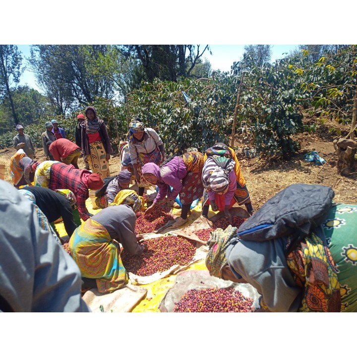 Café El Salvador Molido Fino 500 g Lavado Tueste Suave