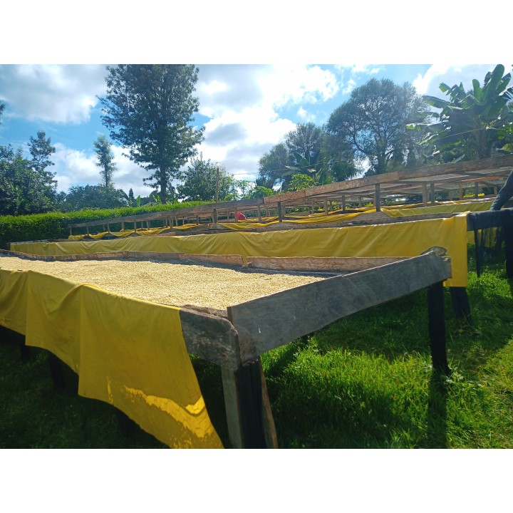 Café Kenia Molido Fino 250 g Lavado Tueste Suave