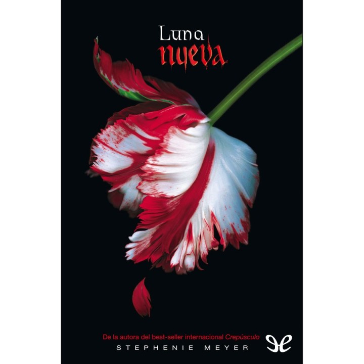 Luna nueva