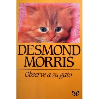 Observe a su gato