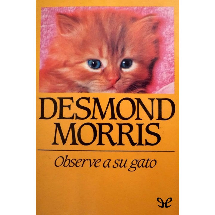 Observe a su gato