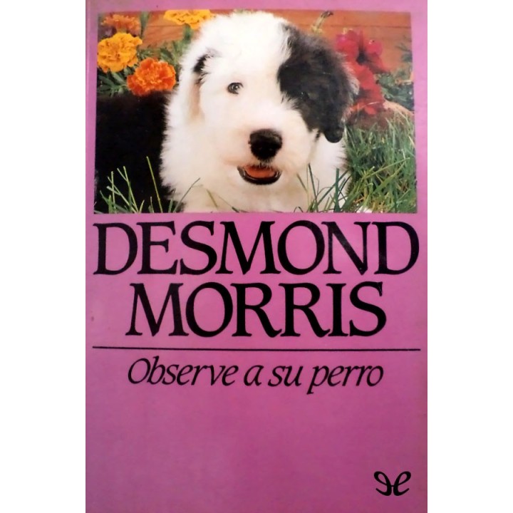 Observe a su perro