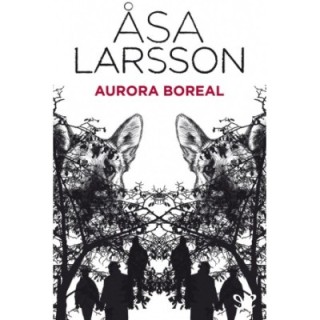 Aurora boreal