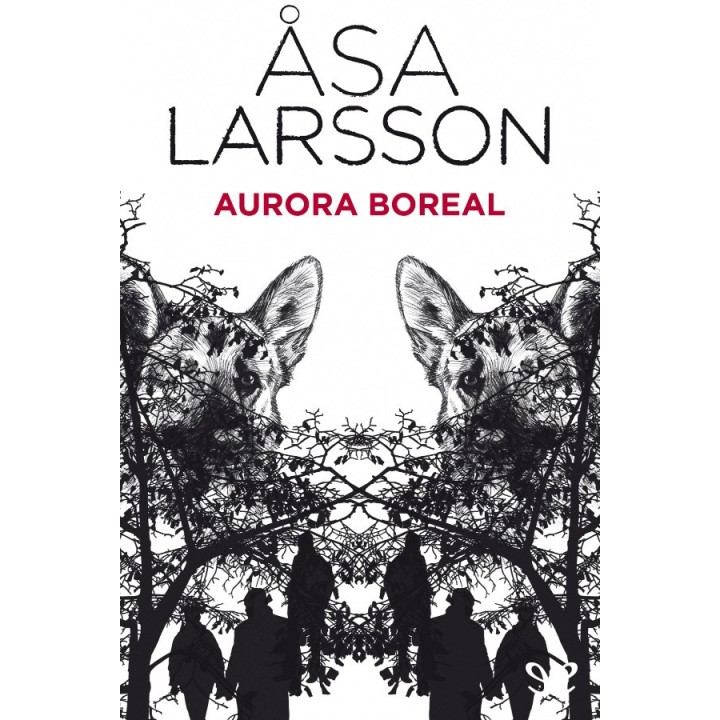 Aurora boreal
