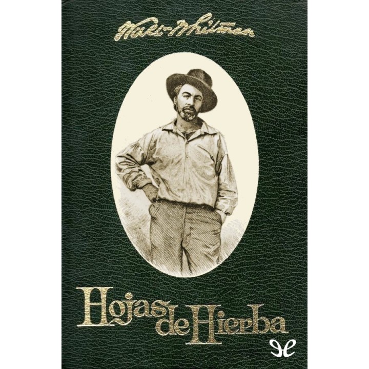 Hojas de hierba