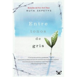 Entre tonos de gris