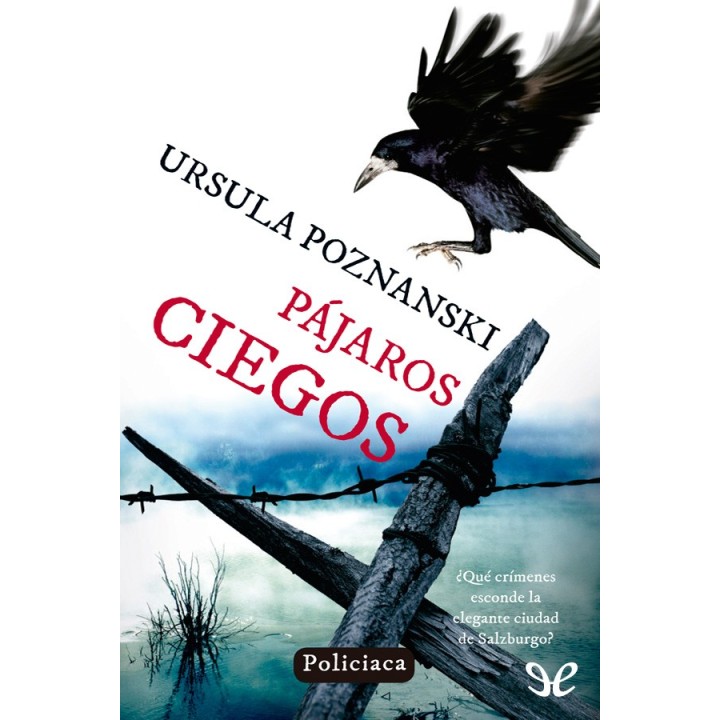 Pájaros ciegos