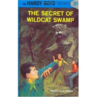 031-The Secret Of Wildcat Swamp