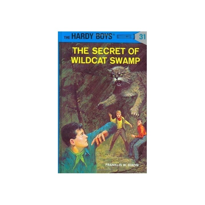 031-The Secret Of Wildcat Swamp