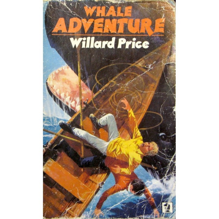05 Whale Adventure