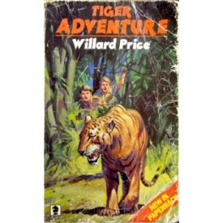13 Tiger Adventure
