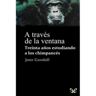 través de la ventana