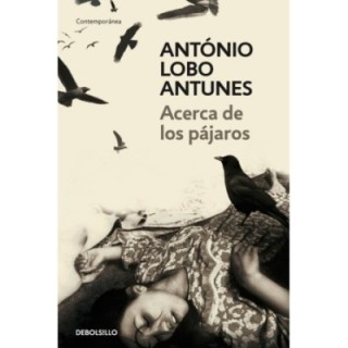 Acerca de los pájaros