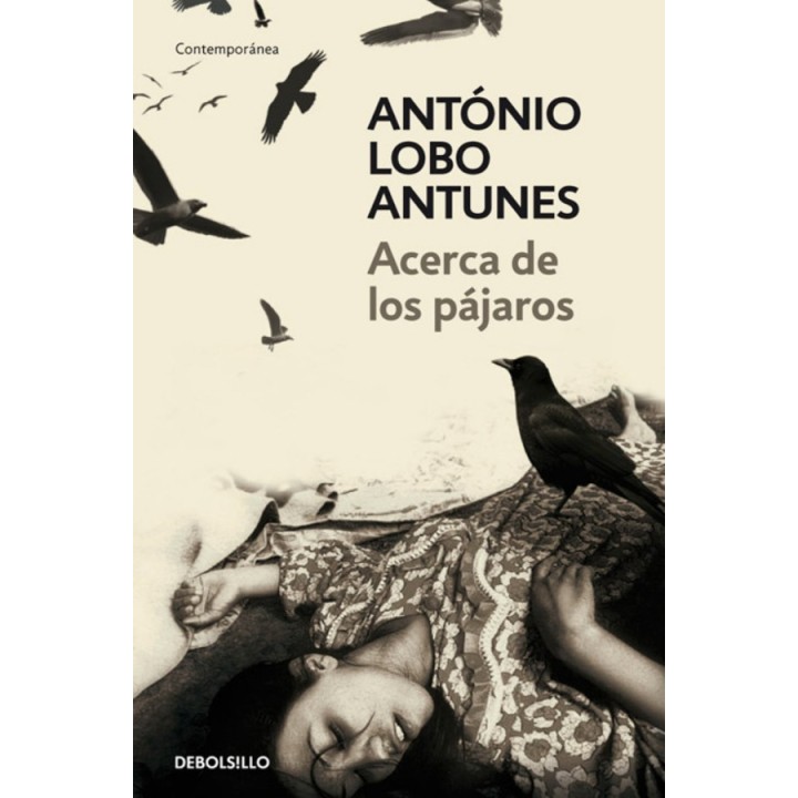 Acerca de los pájaros