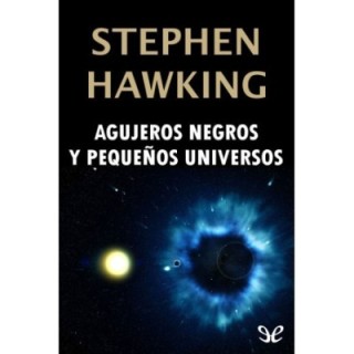 Agujeros negros y pequeños universos