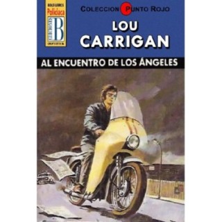 Al encuentro de los ángeles (2ª Ed.)