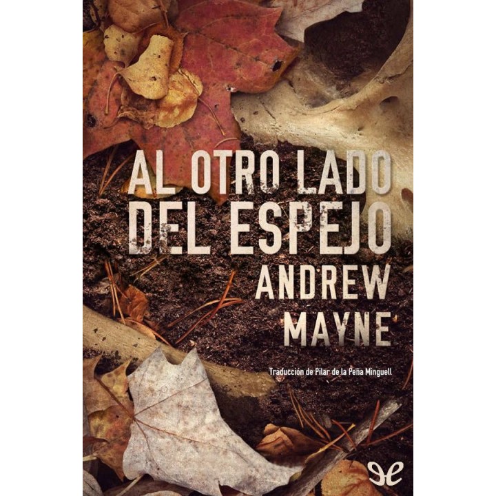 Al otro lado del espejo