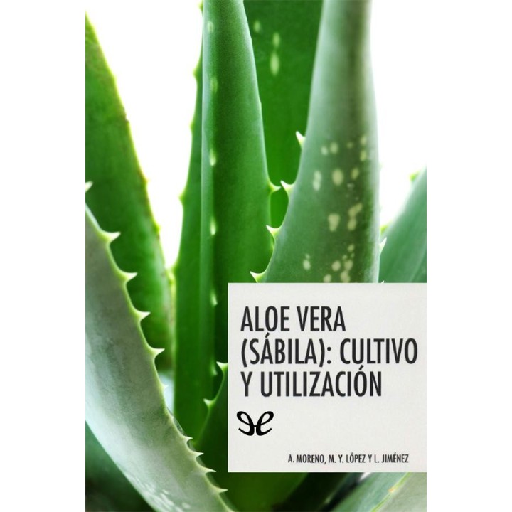 Aloe vera (sábila): cultivo y utilización