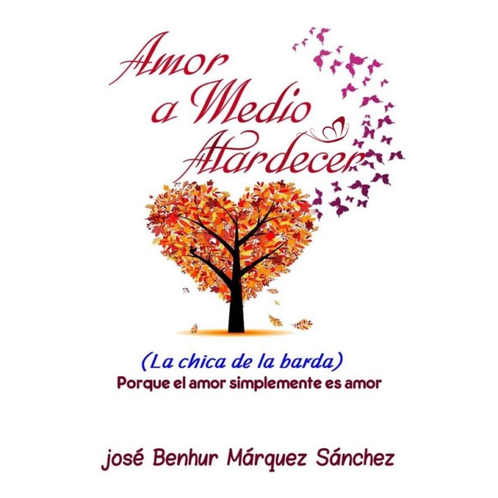 Amor a medio atardecer