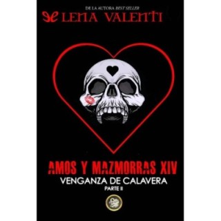 Amos y Mazmorras XIV