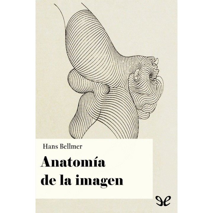 Anatomía de la imagen