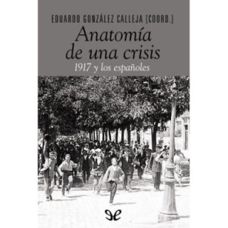 Anatomía de una crisis