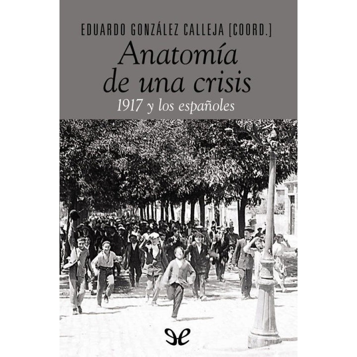 Anatomía de una crisis