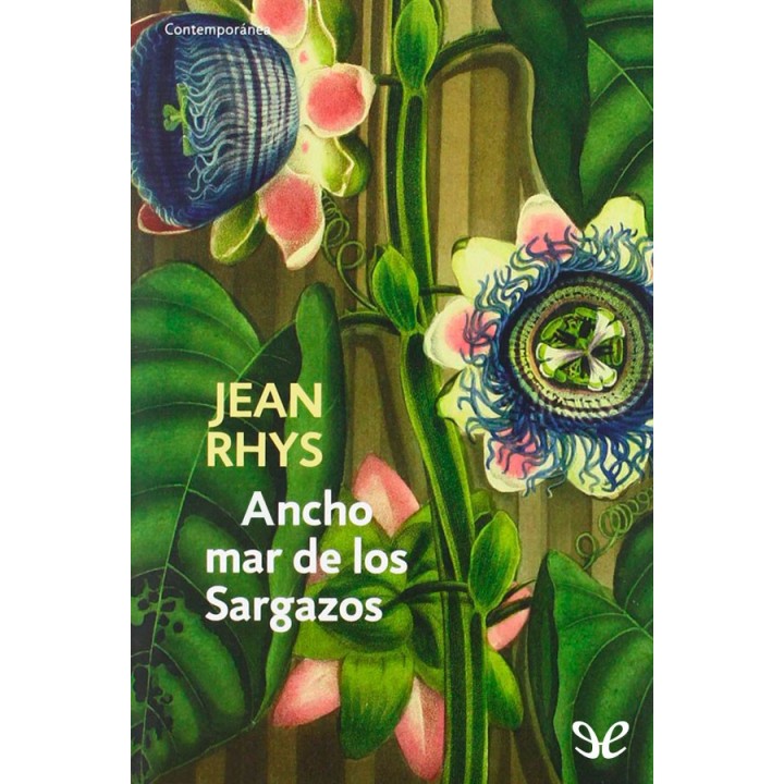Ancho mar de los Sargazos