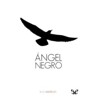 Ángel negro