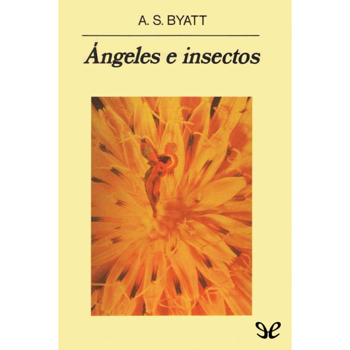 Ángeles e insectos