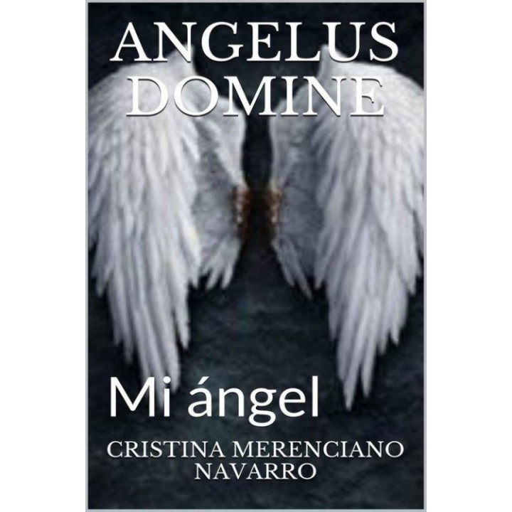 Angelus Domine