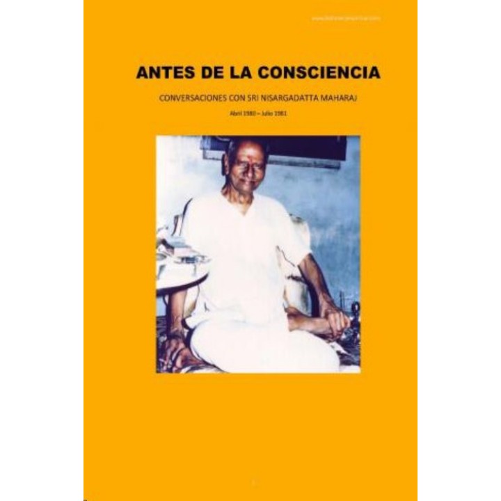 Antes de la consciencia