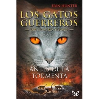 Antes de la tormenta