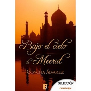 Bajo el cielo de Meerut