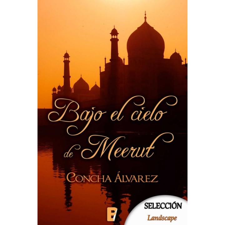 Bajo el cielo de Meerut