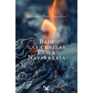 Bajo las cenizas de la Navarrería