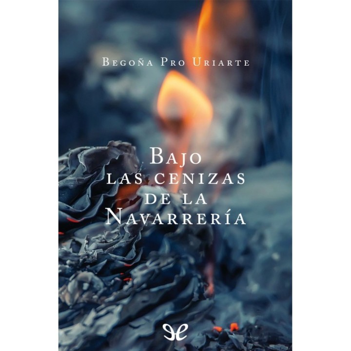 Bajo las cenizas de la Navarrería