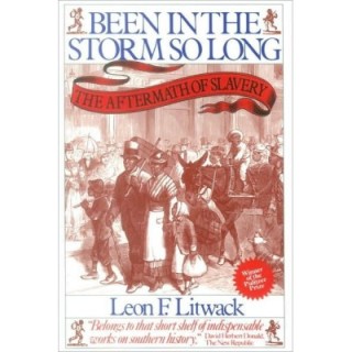 Been in the Storm So Long: The Aftermath of Slavery
