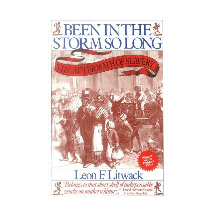 Been in the Storm So Long: The Aftermath of Slavery