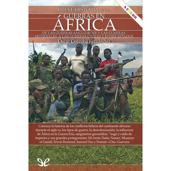 Breve historia de las guerras en África