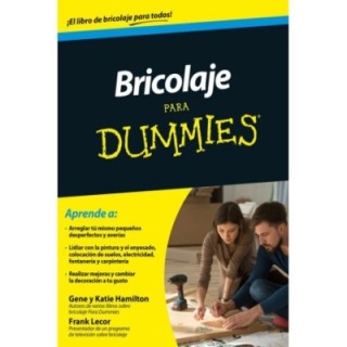 Bricolaje para dummies