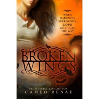 Broken Wings (Hidden Wings Series Book Two)
