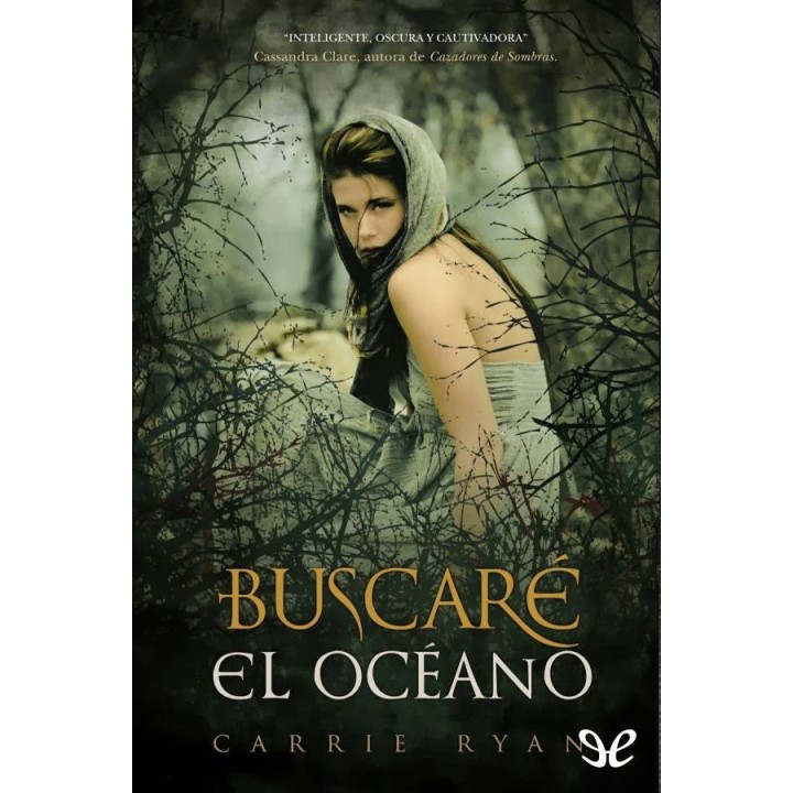Buscaré el océano