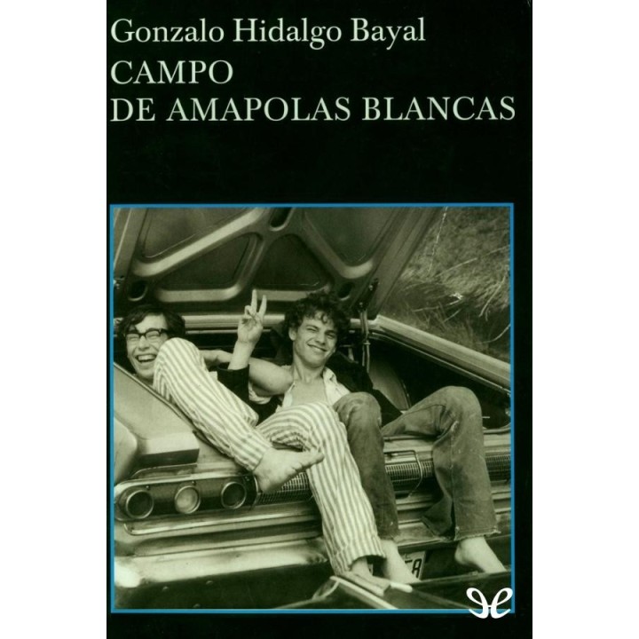 Campo de amapolas blancas