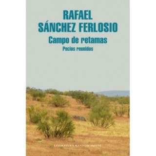 Campo de retamas: Pecios reunidos