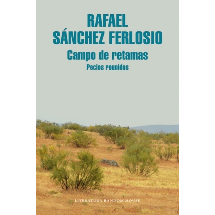 Campo de retamas: Pecios reunidos